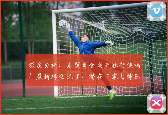 深度分析：东契奇会离开独行侠吗？最新转会流言、潜在下家与球队真实动向
