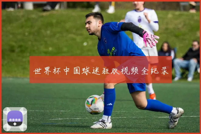 世界杯中国球迷狂欢视频全纪录